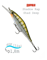 SDRSD09 YP Shadow Rap Shad Deep - фото