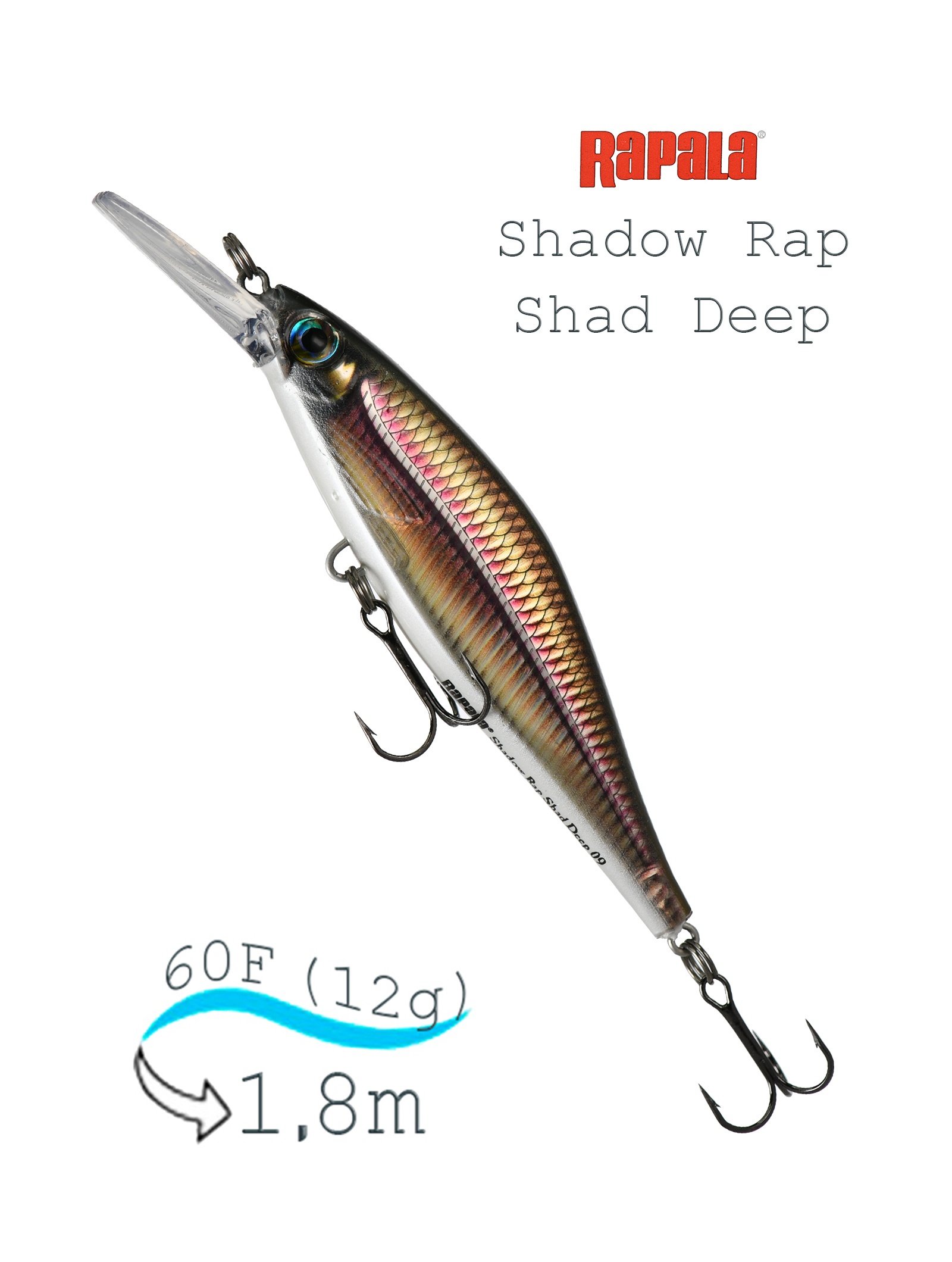 SDRSD09 SML Shadow Rap Shad Deep