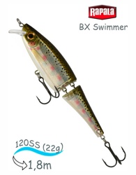 BXS12 RT Swimmer BX - фото