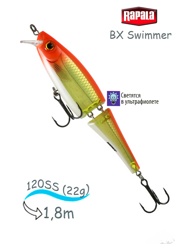 BXS12 HH Swimmer BX - фото