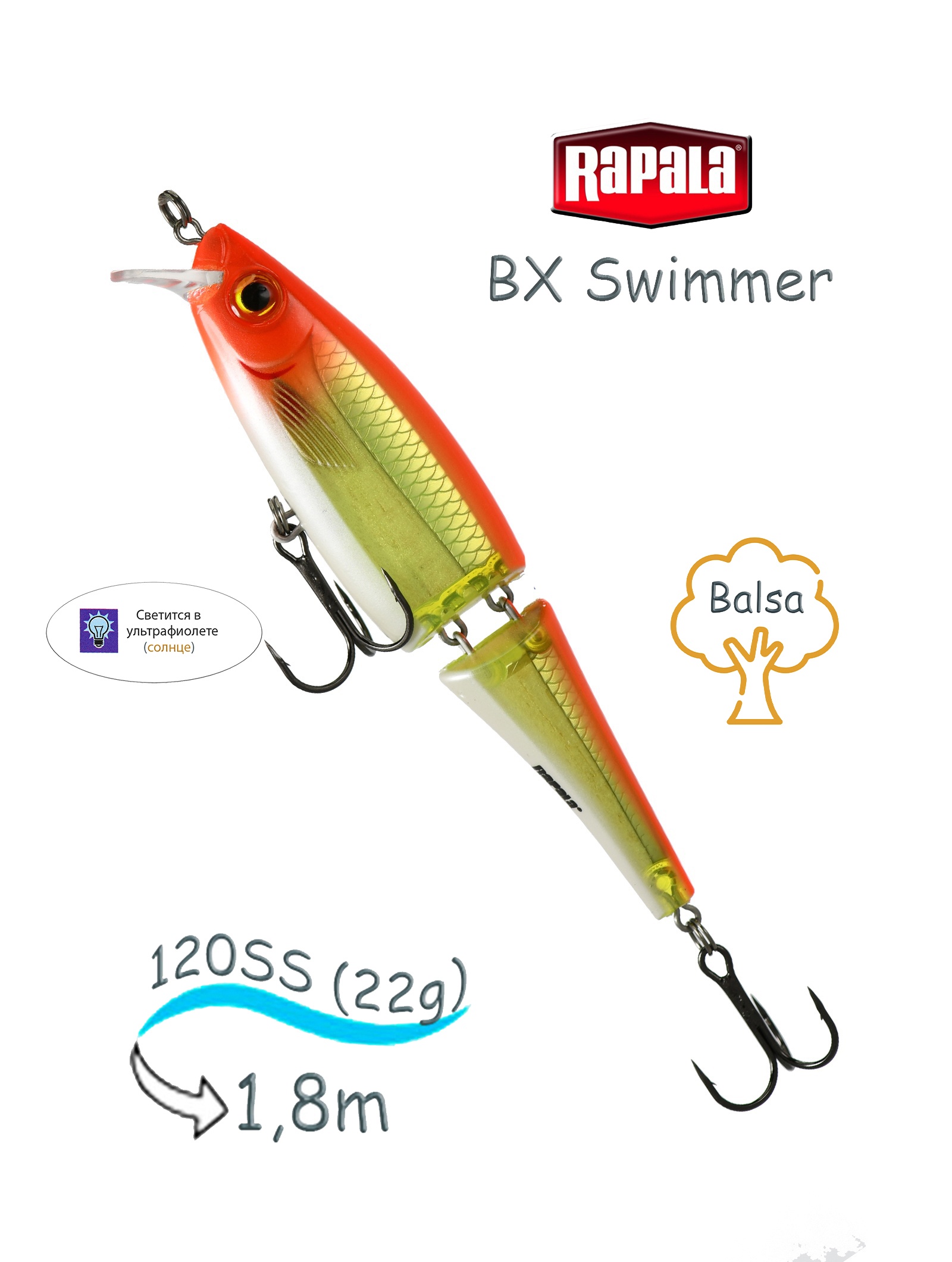 BXS12 HH Swimmer BX - фото