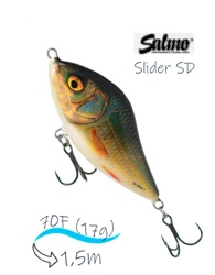 QSD269 Slider SD-070-FL-RER - фото