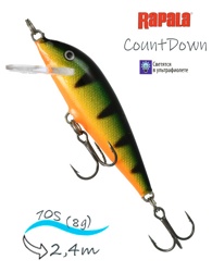 CD07 P CountDown - фото