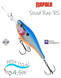 SRRS07 SB Shad Rap RS - фото
