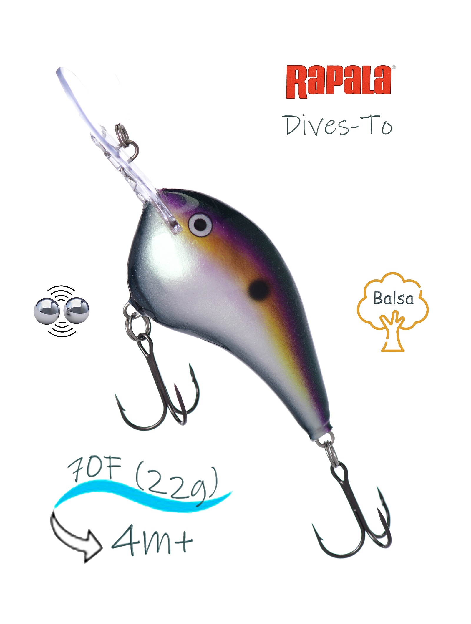 DT14 BGSD Dives-To - фото