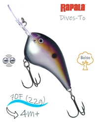 DT14-BGSD Dives-To - фото