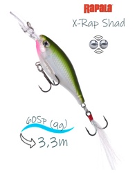 XRS06 OG X-Rap Shad - фото
