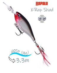 XRS06 S X-Rap Shad - фото