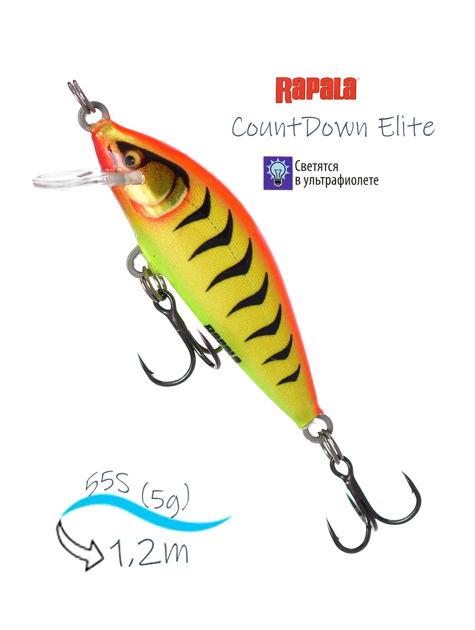 CDE55-GDHT CountDown Elite - фото