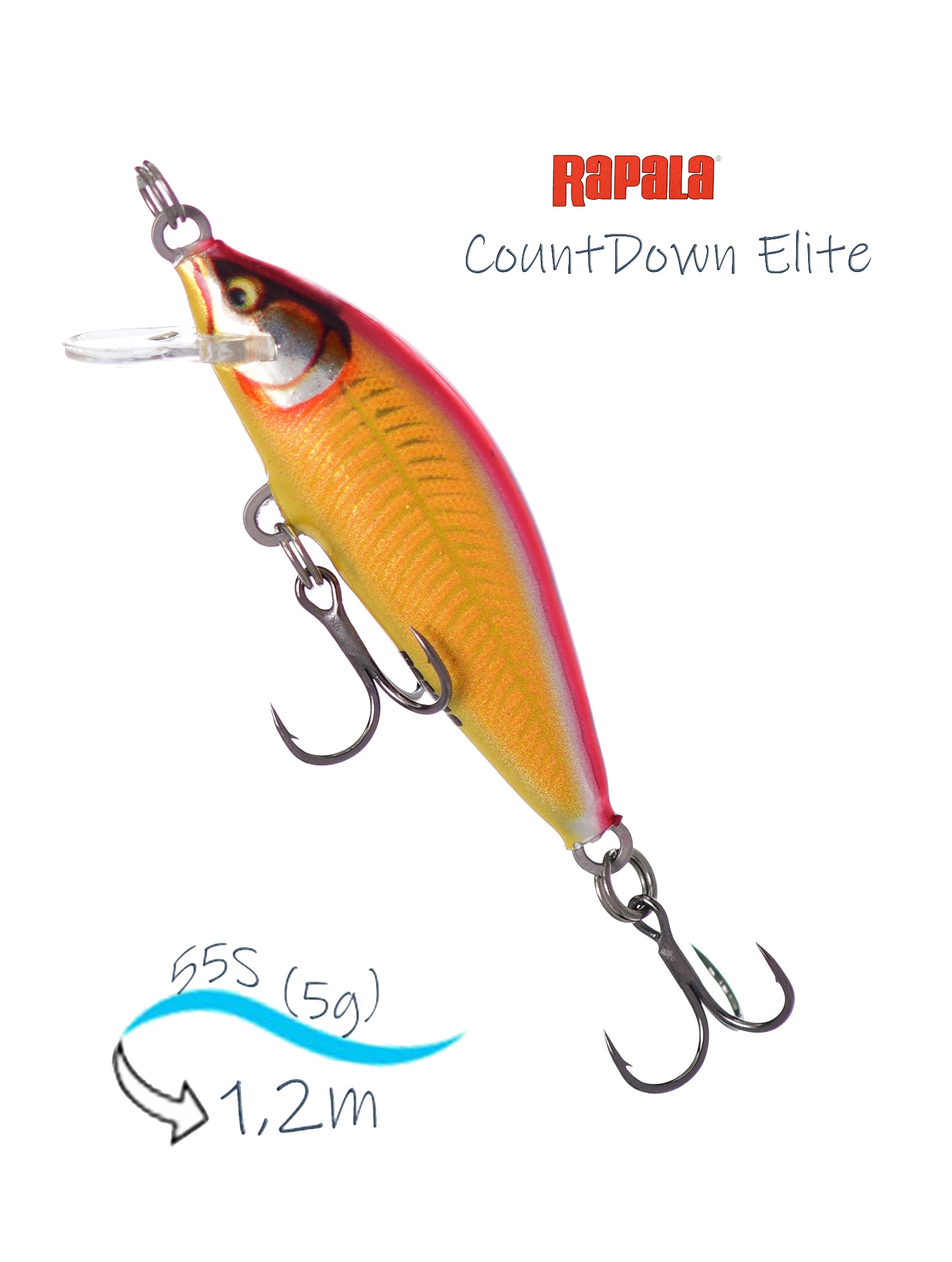 CDE55-GDGR CountDown Elite - фото