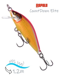 CDE55-GDGR CountDown Elite - фото