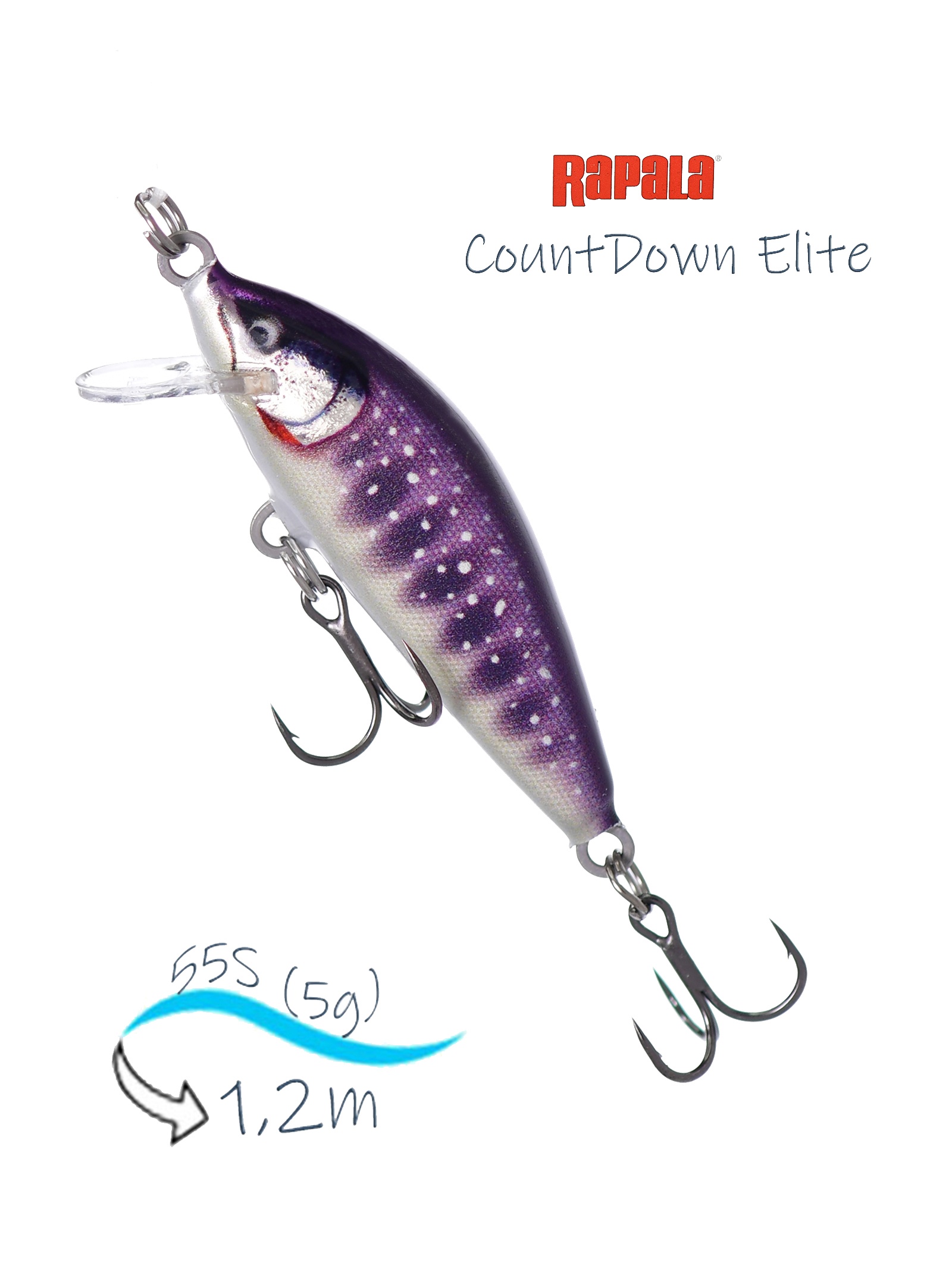CDE55-GDIW CountDown Elite - фото