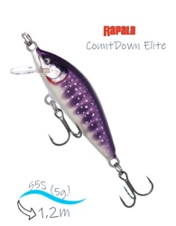 CDE55-GDIW CountDown Elite - фото