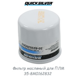 Фильтр Quicksilver 35-8M0162832 (822626Q03) масляный для ПЛМ - фото