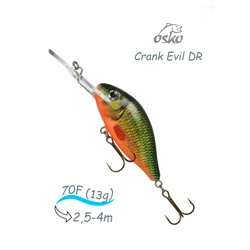 ODE07-17 Evil DR - фото