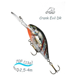 ODE07-35 Evil DR - фото