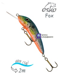 OFF06-81 Fox - фото