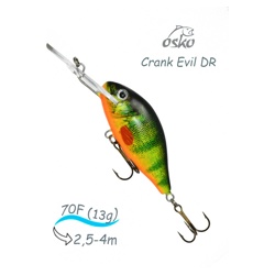 ODE07-51 Evil DR - фото