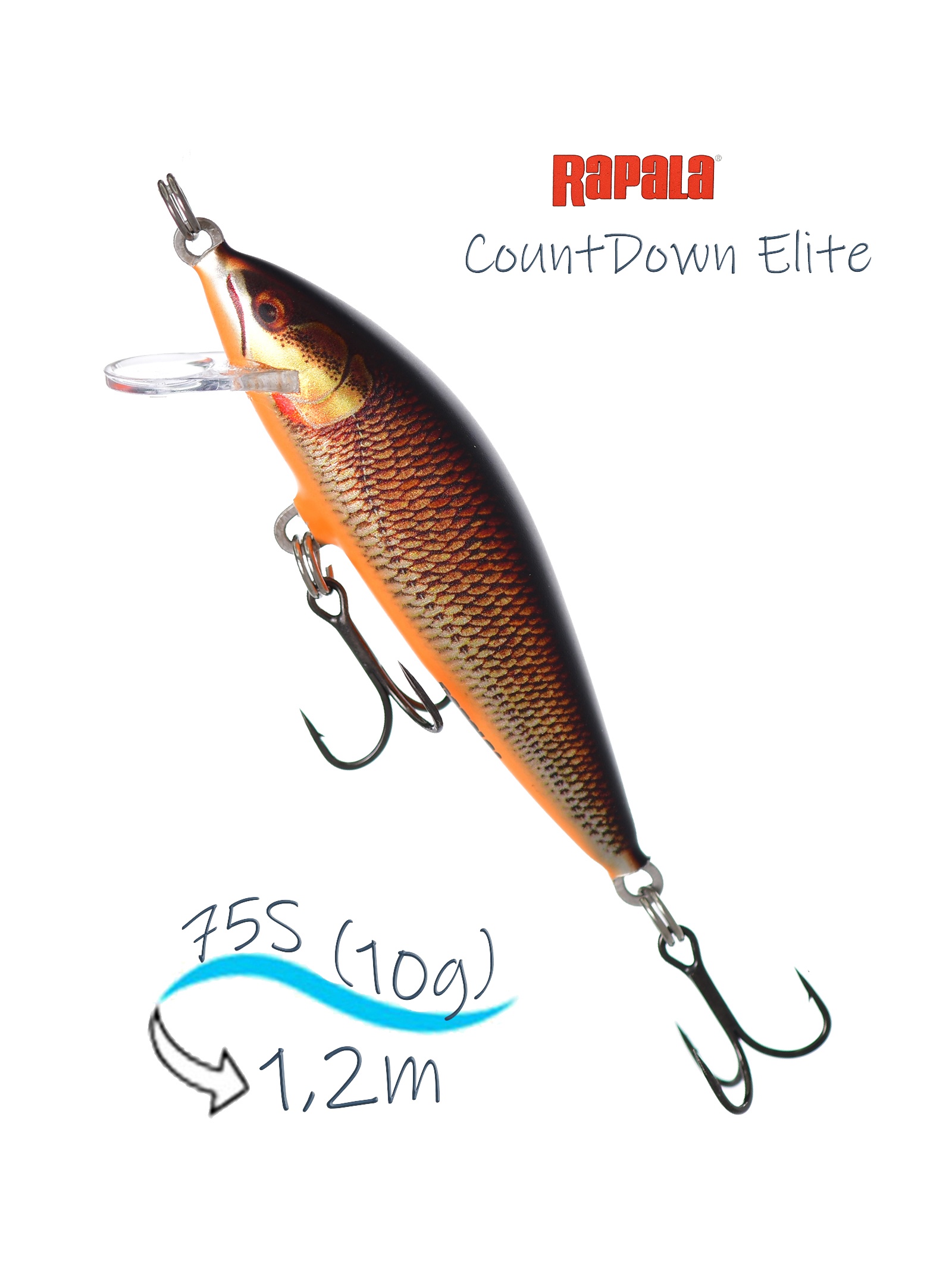 CDE75-GDRFSHL CountDown Elite - фото