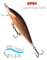 CDE75-GDRFSHL CountDown Elite - фото