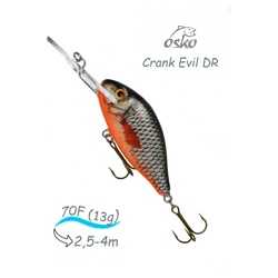 ODE07-86 Evil DR - фото