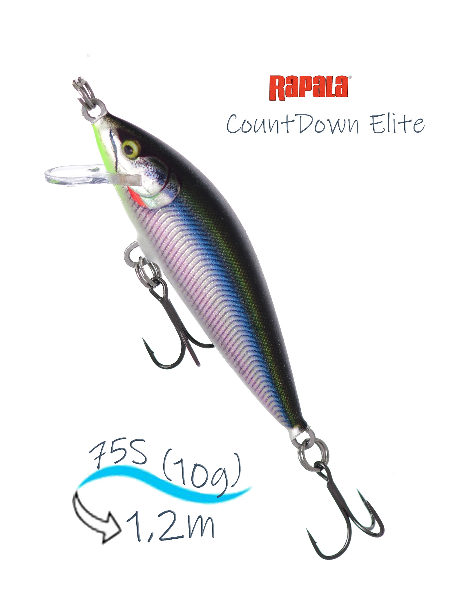 CDE75-GDRSML CountDown Elite - фото