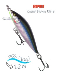 CDE75-GDRSML CountDown Elite - фото