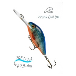 ODE07-87 Evil DR - фото