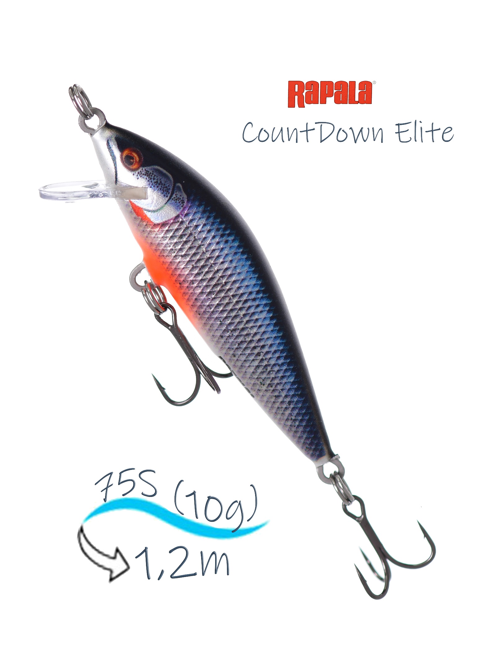 CDE75-GDSPWR CountDown Elite - фото