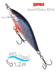 CDE75-GDSPWR CountDown Elite - фото