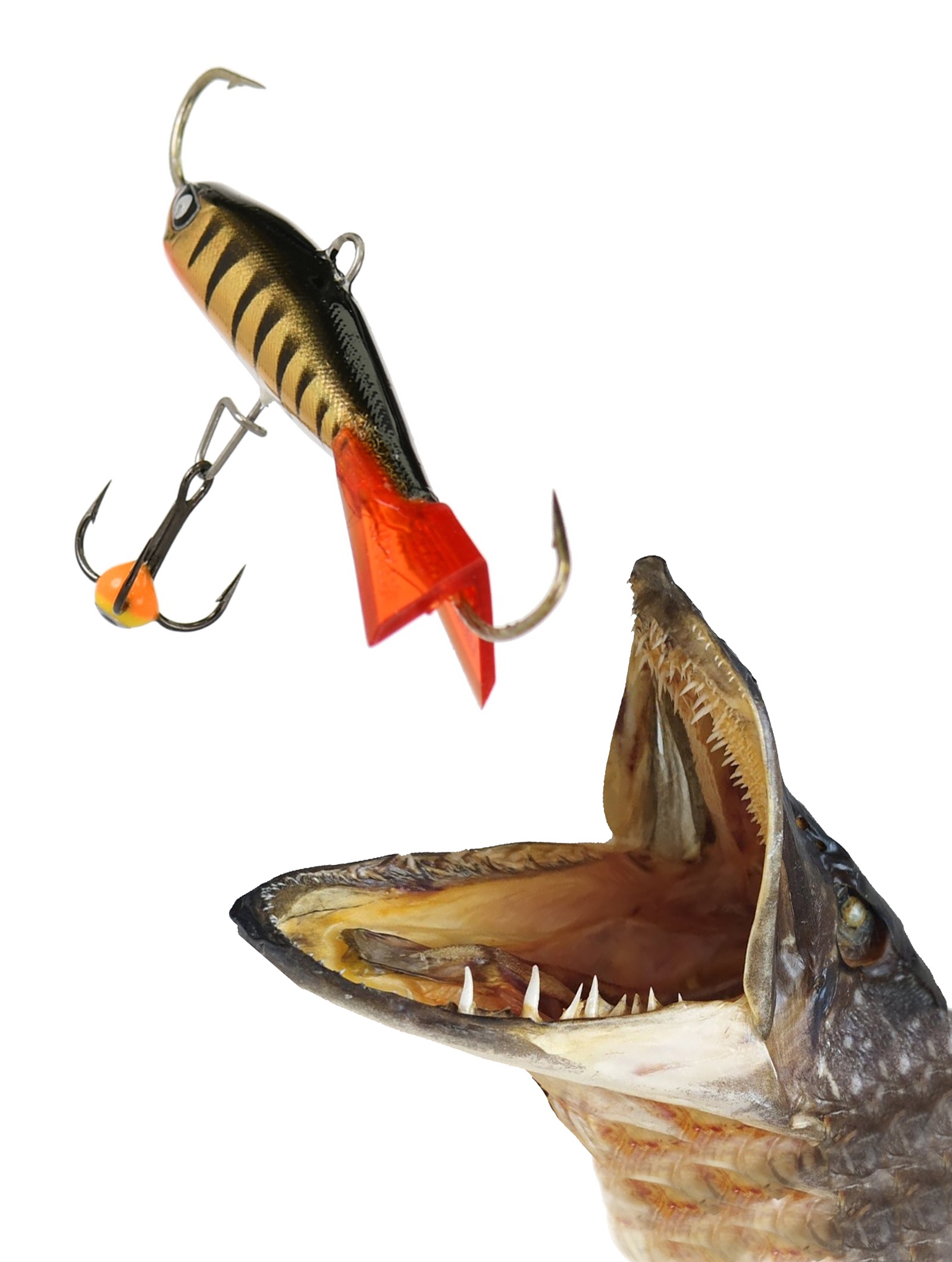 Nordic 3-011HRT - фото2