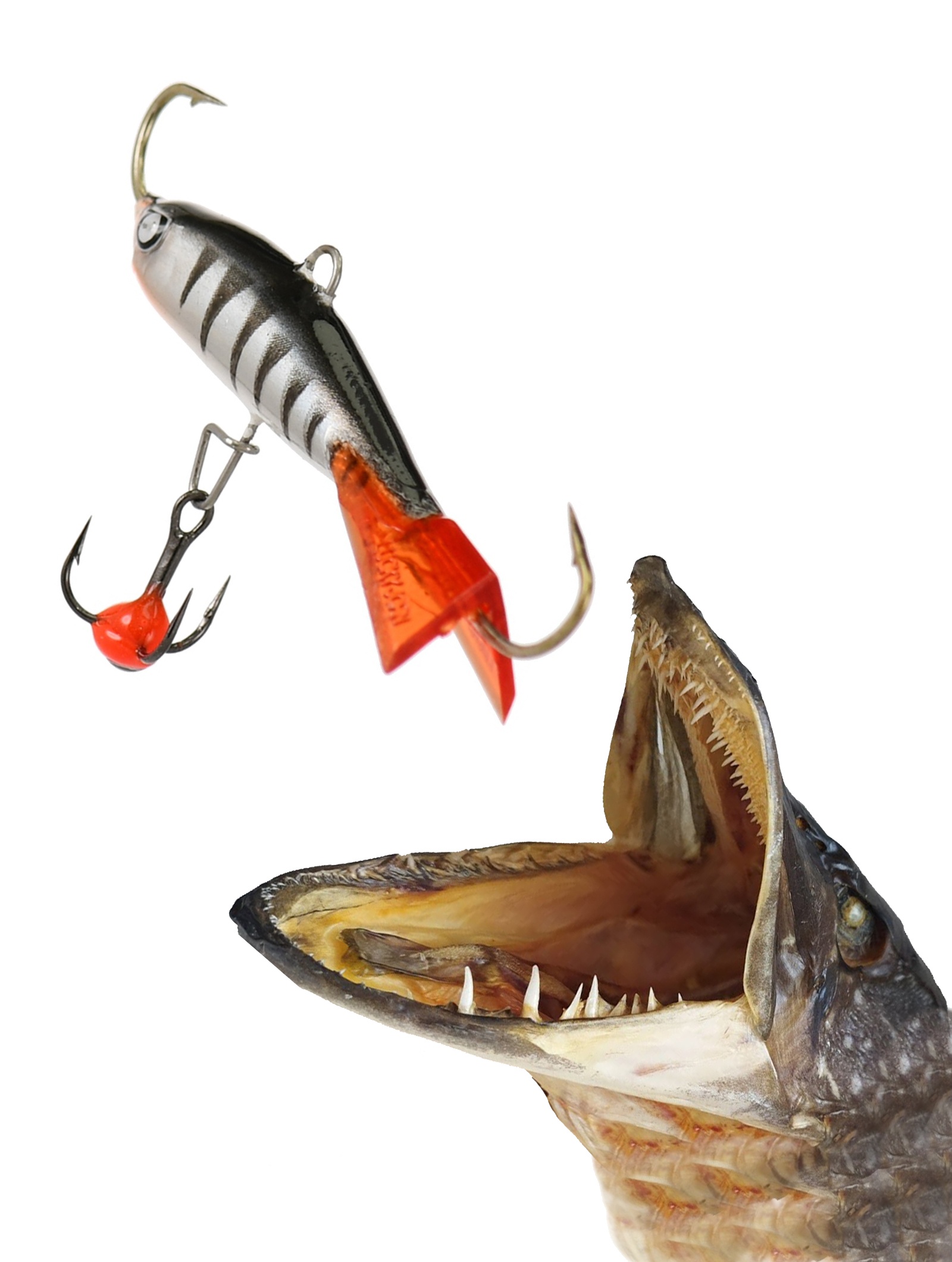 Nordic 3-012HRT - фото2