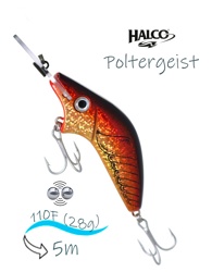 Poltergeist-110 H61 - фото