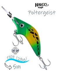 Poltergeist-110 H66 - фото