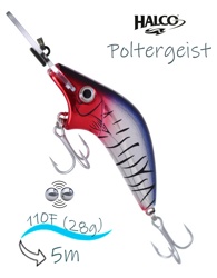Poltergeist-110 R49 - фото