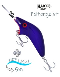 Poltergeist-110 R27 - фото