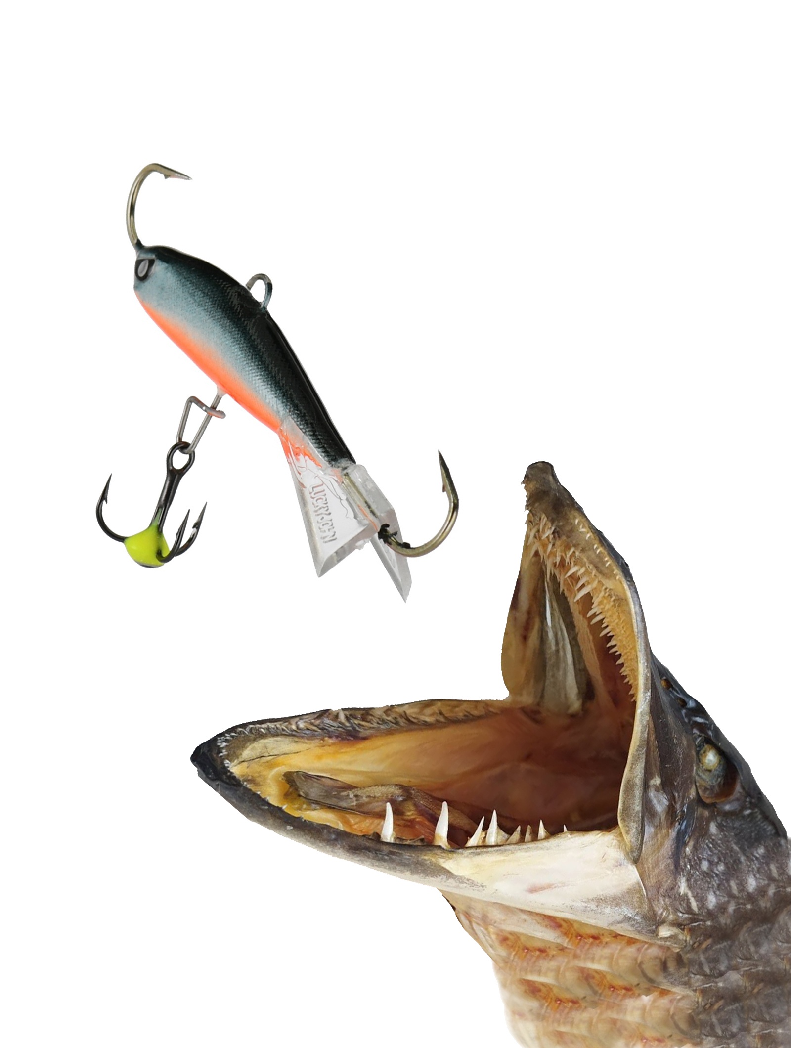 Nordic 3-058 - фото2