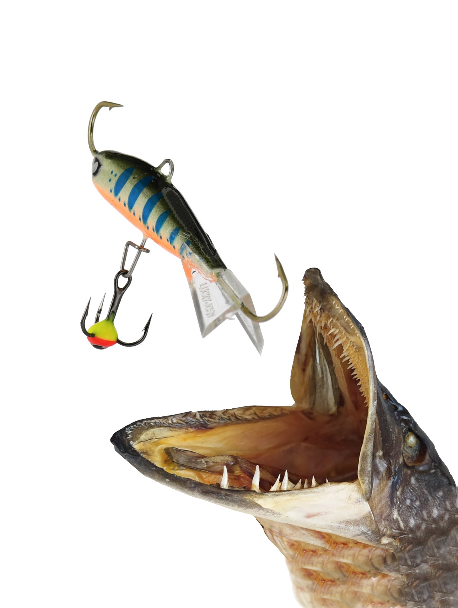 Nordic 3-103 - фото2