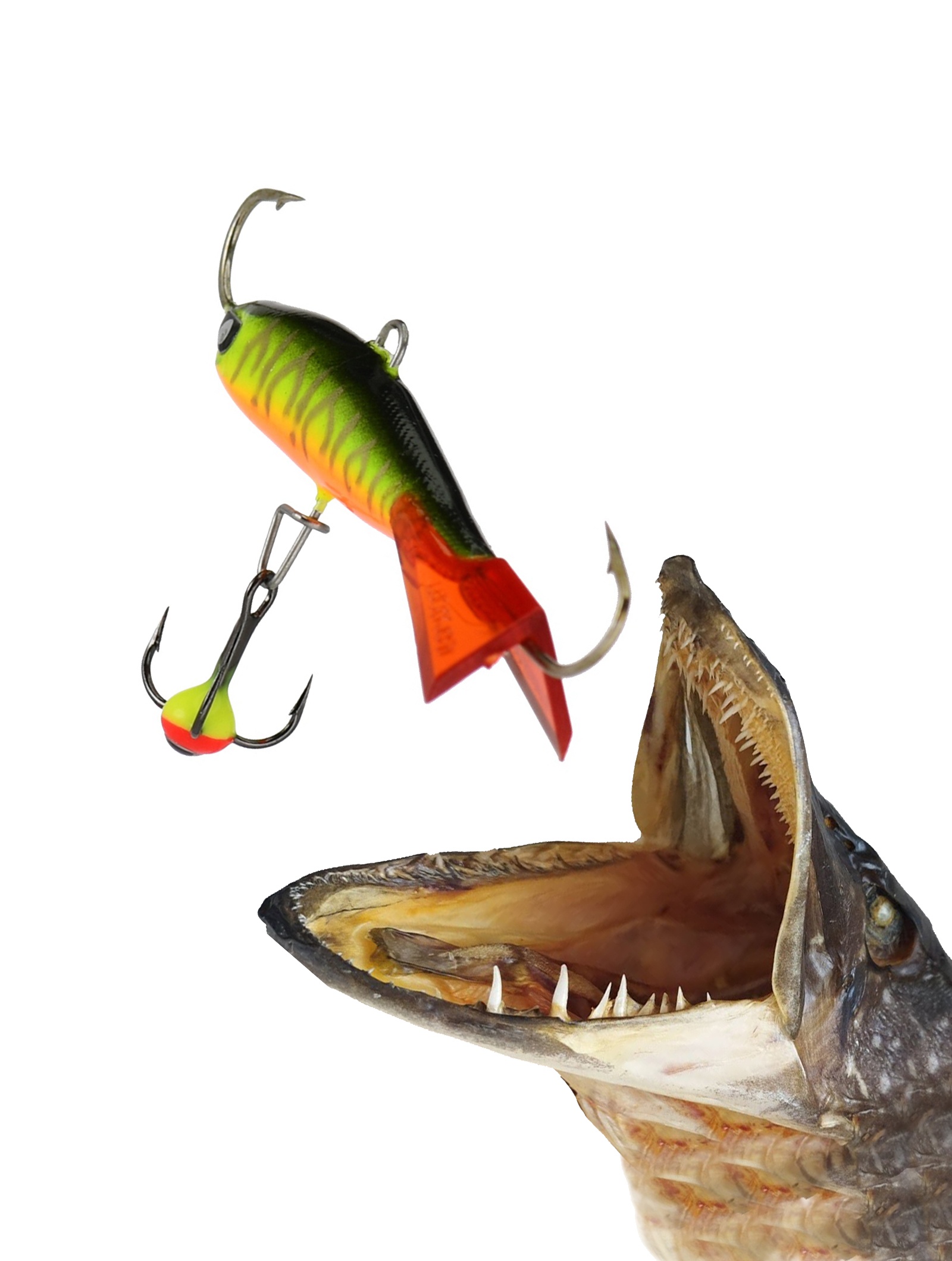 Nordic 3-301RT - фото2