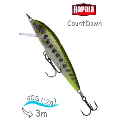 CD09 OGMD CountDown - фото