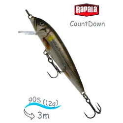 CD09 AYUL CountDown - фото