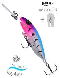 Sorcerer  90 DD R19 - фото