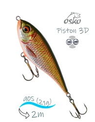 OSP09-10 Piston 3D SI - фото