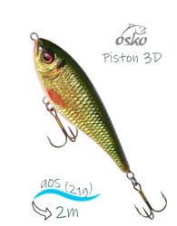OSP10-17 Piston 3D SI - фото