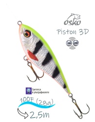 OSP10-49 Piston 3D SI - фото