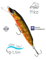 OFP10-41 Pike - фото