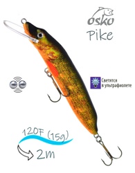 OFP12-41 Pike - фото