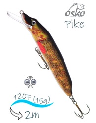 OFP12-40 Pike - фото