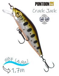 Crack Jack 58 F-MR-050 - фото