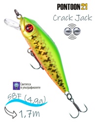 Crack Jack 58 F-MR-R65 - фото